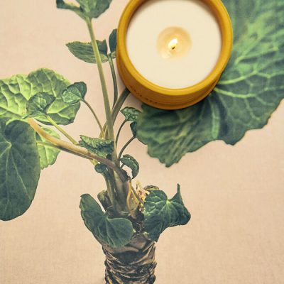 perfumes de verduras