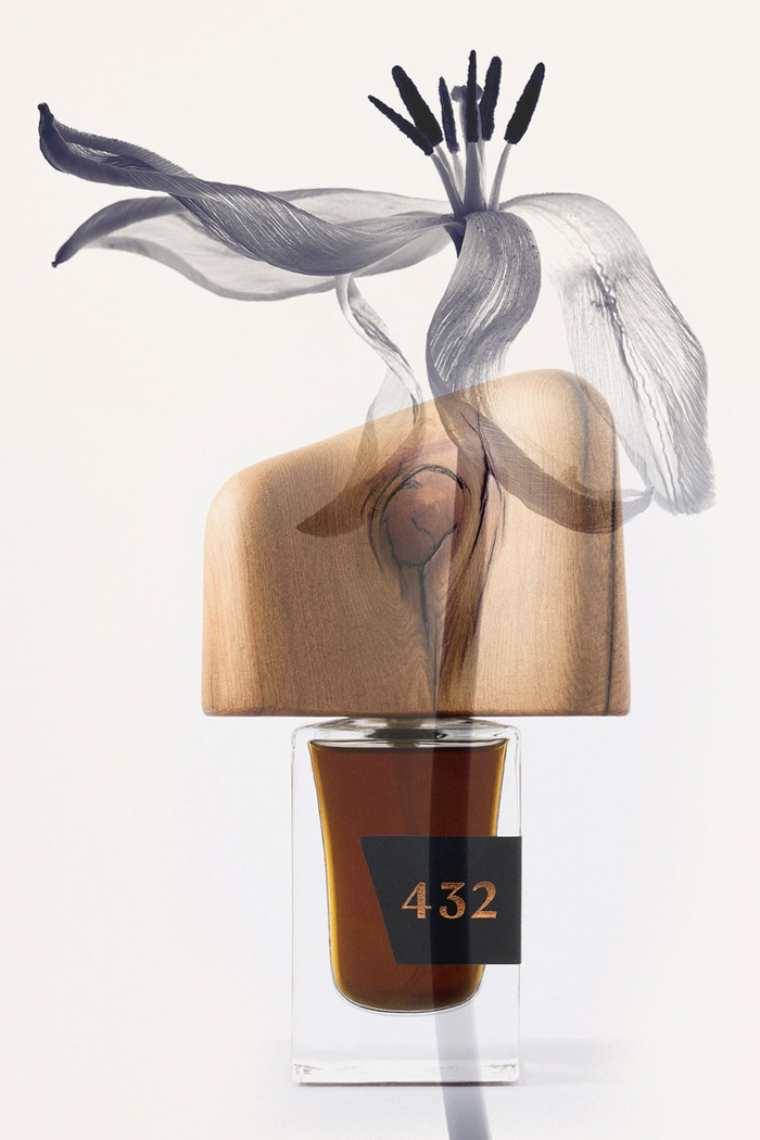 Nostalgia botánica: el retorno de lo ancestral en perfumería