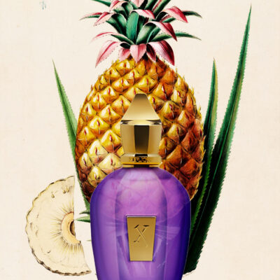 perfumes afrutados