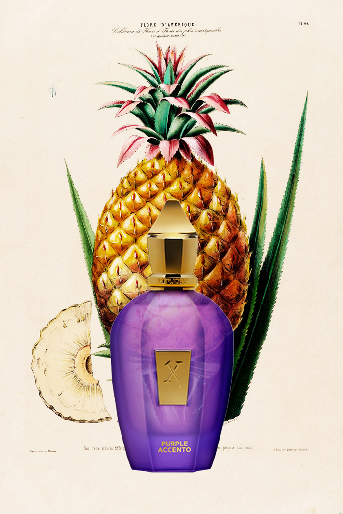 perfumes afrutados